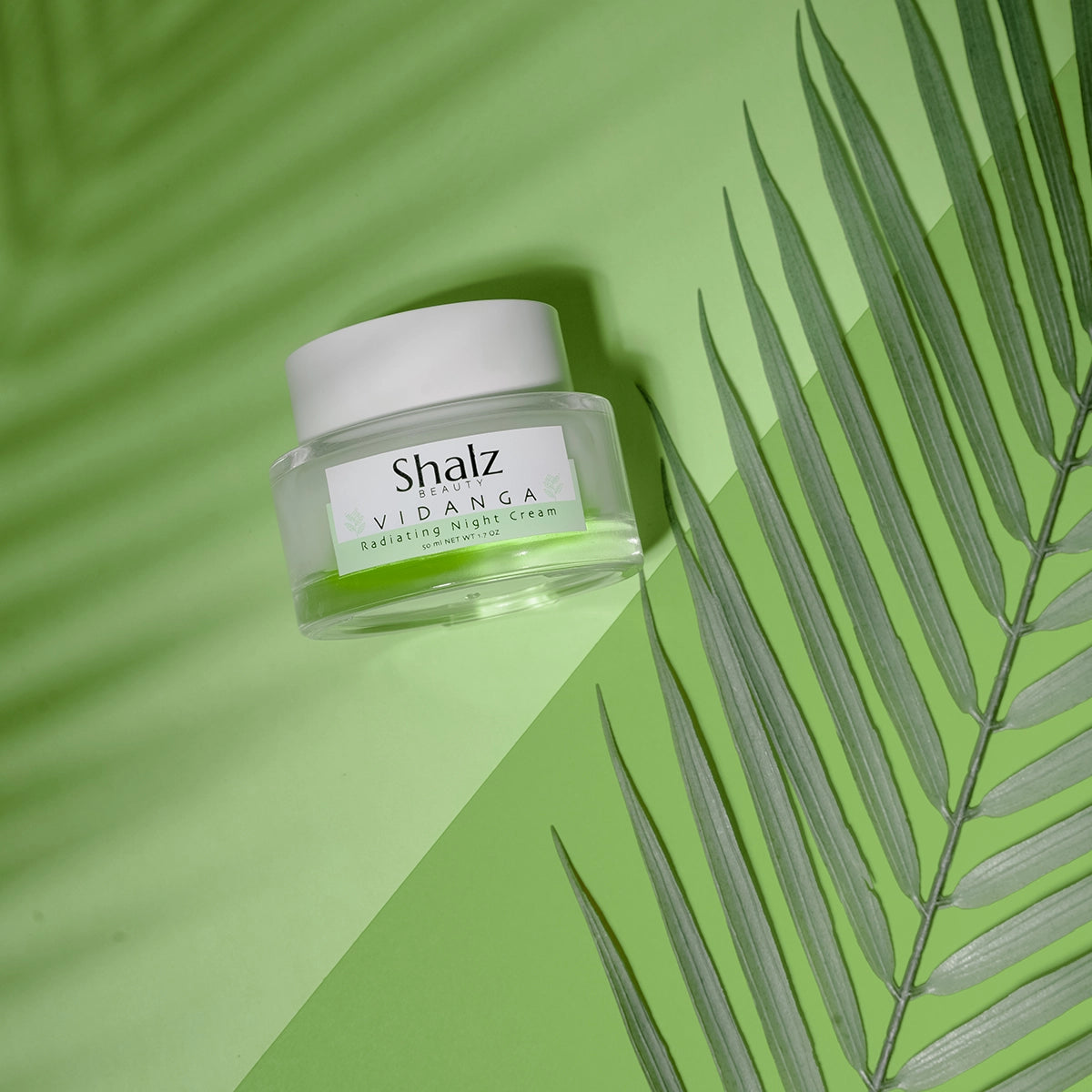 Shalz Vidanga Radiating Night Cream