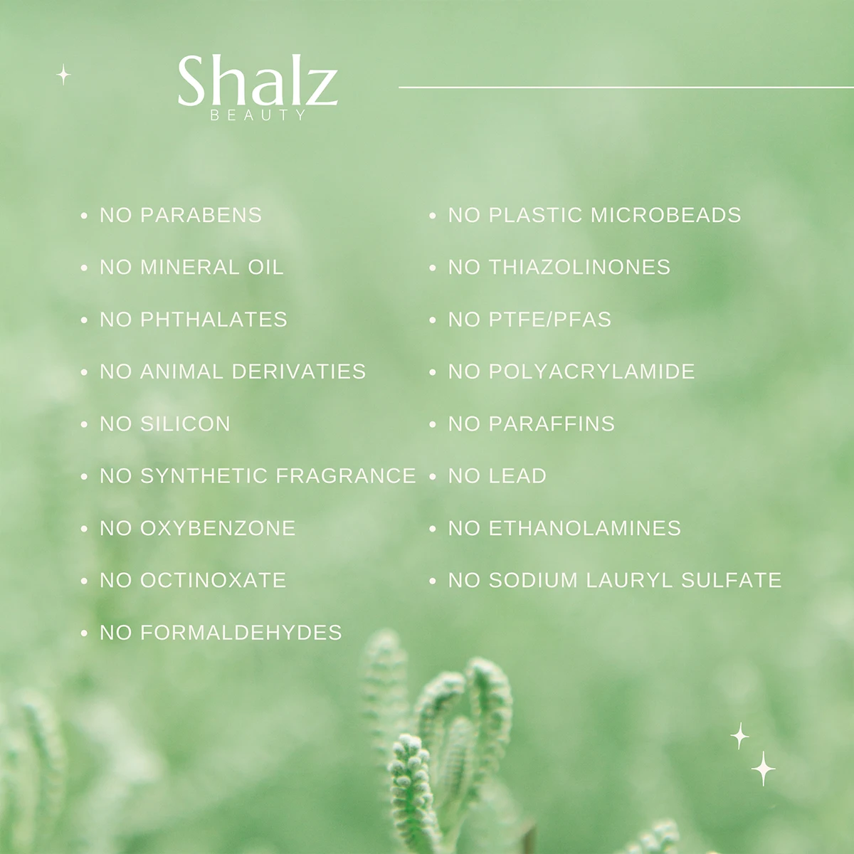 Shalz Vidanga Radiating Night Cream