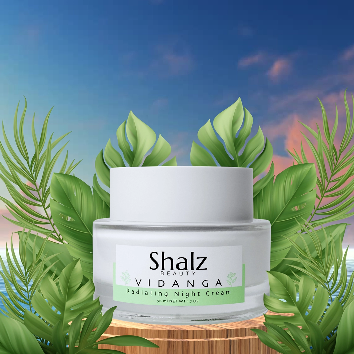 Shalz Vidanga Radiating Night Cream