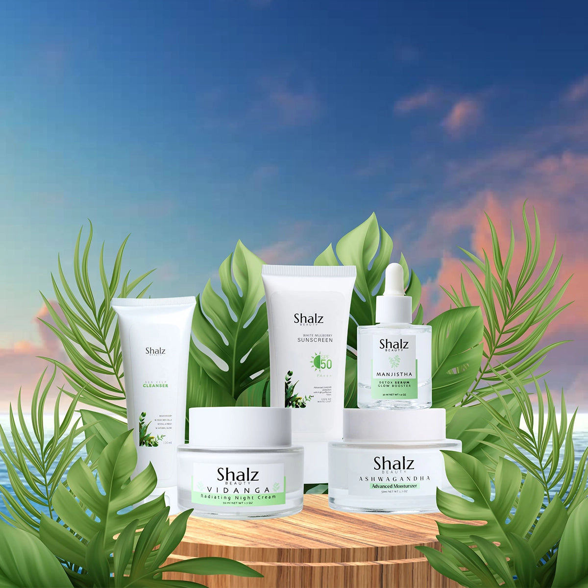 Shalz Beauty Full Set