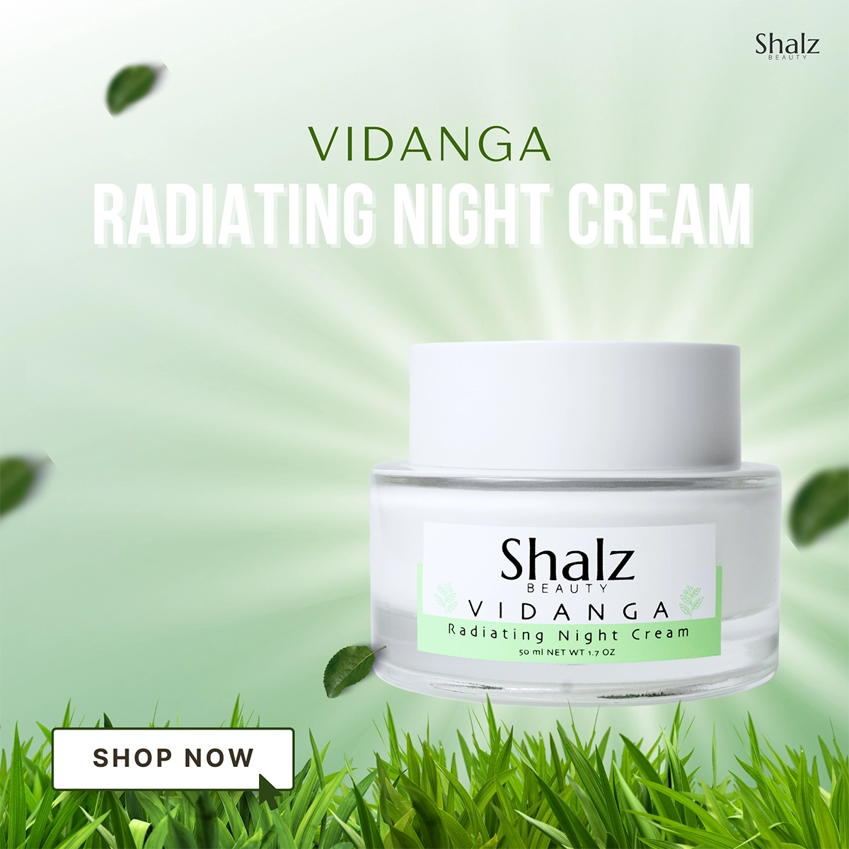 Shalz Vidanga Radiating Night Cream